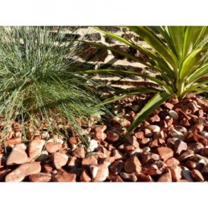 Galet Rouge Pack de 10 M² calibre 12-24 mm