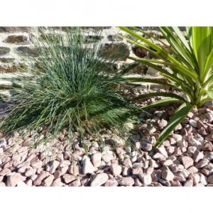 Galet Rouge Pack de 10 M² calibre 12-24 mm