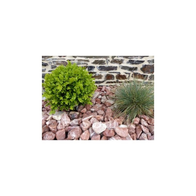 Galet Rouge calibre 40-60 mm