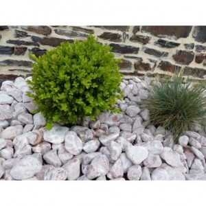 Galet Rouge calibre 40-60 mm