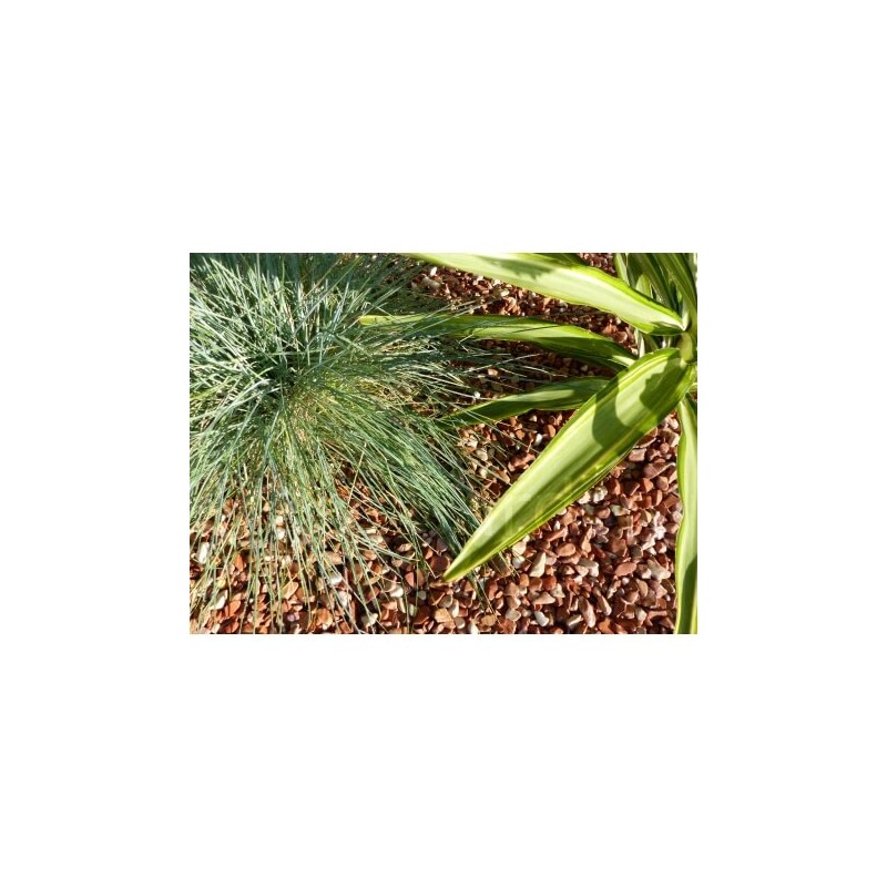 Galet Rouge Pack de 5 M² calibre 6-12 mm