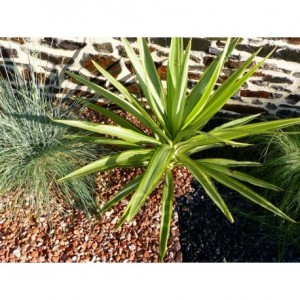 Galet Rouge Pack de 5 M² calibre 6-12 mm