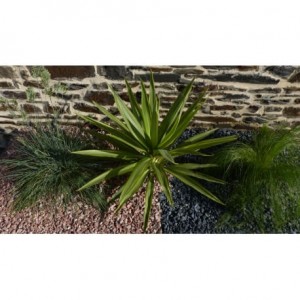 Galet Rouge Pack de 5 M² calibre 6-12 mm