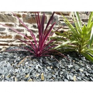 Paillage Ardoise GRIS  10-30  Pack 17 m² - 40 sacs - 1000 kg