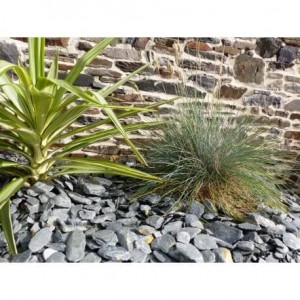 Paillage Ardoise GRIS