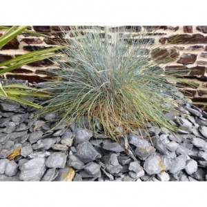 Paillage Ardoise GRIS  30-60  Pack 17 m² - 40 sacs - 1000 kg