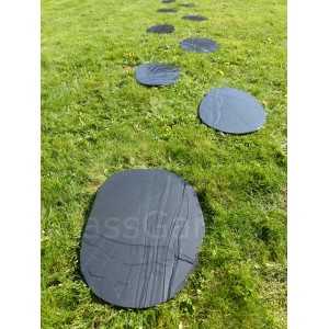 Geen Japanse onregelmatige leisteen