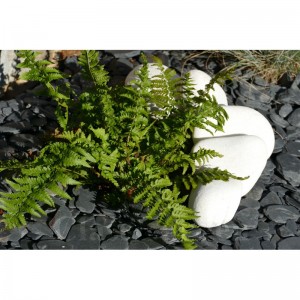 Gros Galets BLANC 100-200 - pack 15 Galets