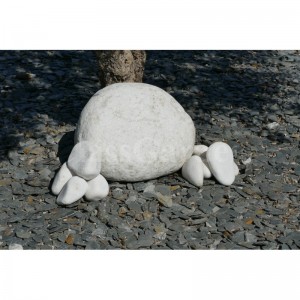 Gros Galet BLANC 350-500