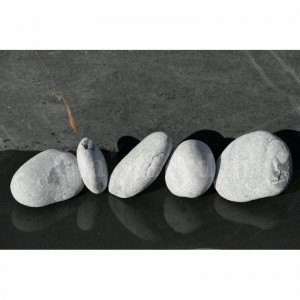 Gros Galet GRIS Venturé 100-200 - pack 5 Galets