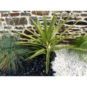 Galet Blanc Brillant 6-15 Pack de 5 M² - 10 sacs - 200 kg