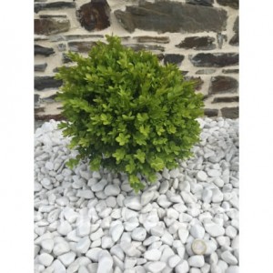 Galet blanc brillant