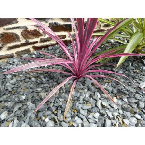 Mulching Slate Grey 10-30 Pack 7 m² - 17 bags - 425 kg