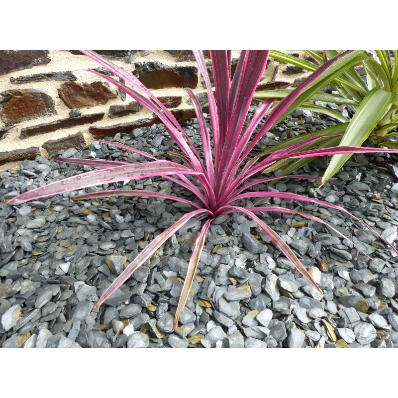 Pacciame di ardesia grigia 10-30 confezioni 7 m² - 17 sacchi - 425 kg