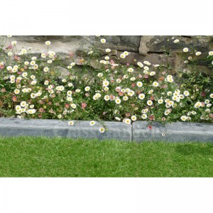 Bordure Patinée XL 50 cm